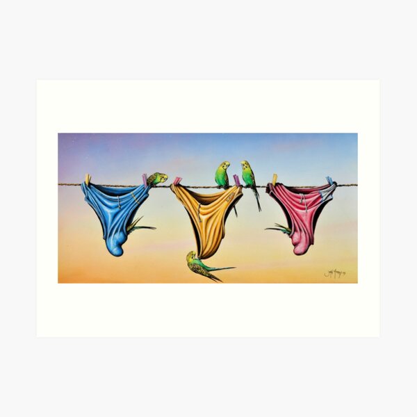Budgie Smugglers Art Print
