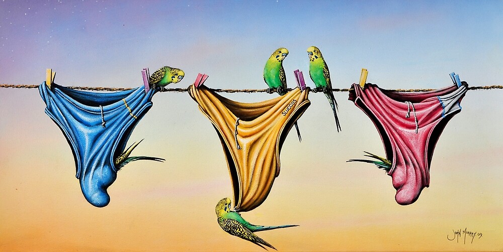 "Budgie Smugglers" by John Murray  Redbubble