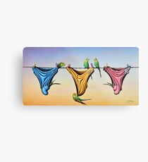 Budgie Smugglers Metal Print