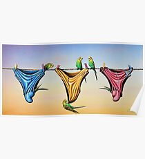 Budgie Smugglers Poster