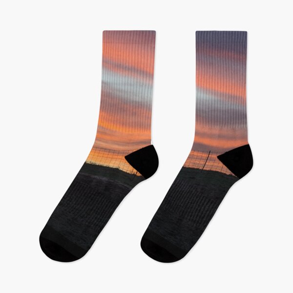 Item preview, Cattle Silhouette Sunset designed and sold by mljdwhite.