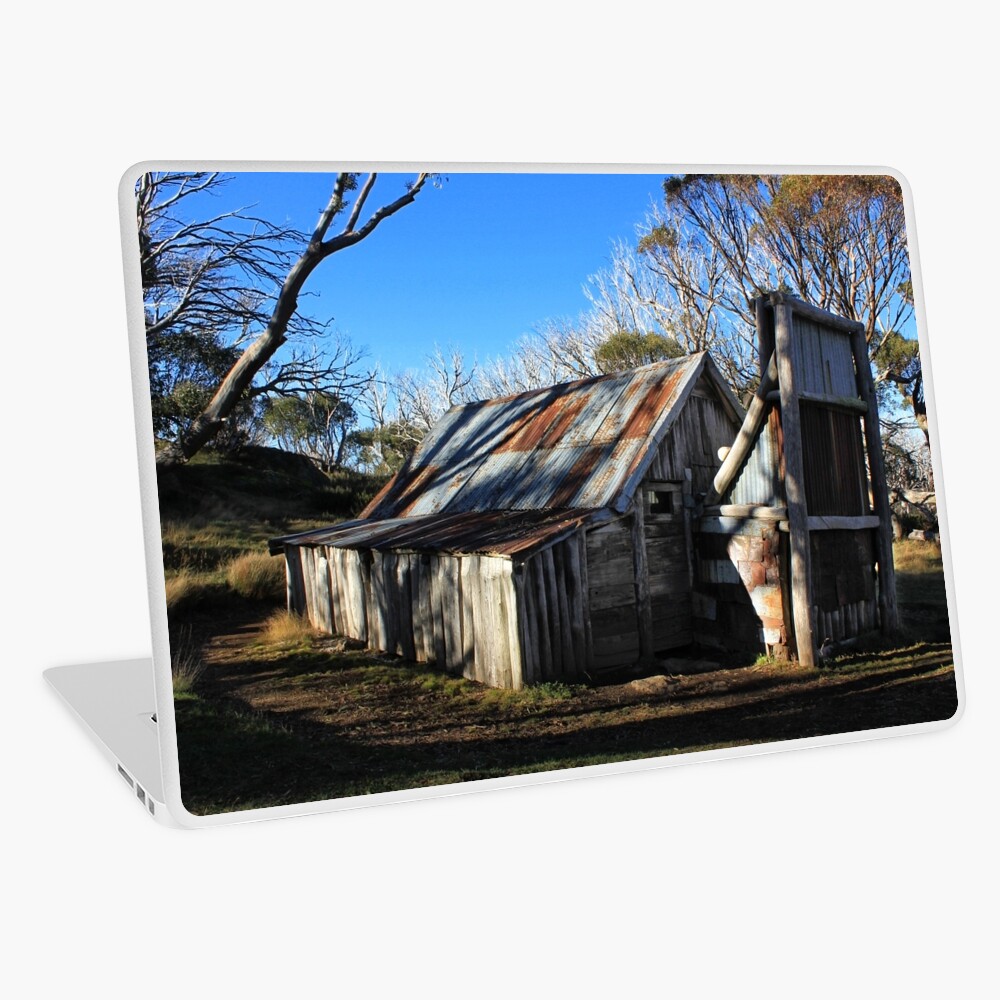 Item preview, Laptop Skin designed and sold by charlesk.
