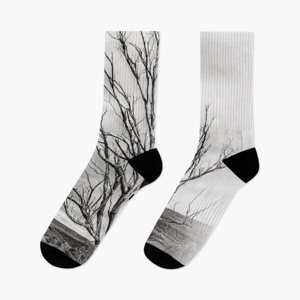 Aperçu de l'œuvre Arbre solitaire 3 créée et vendue par Huskyyy Designs.