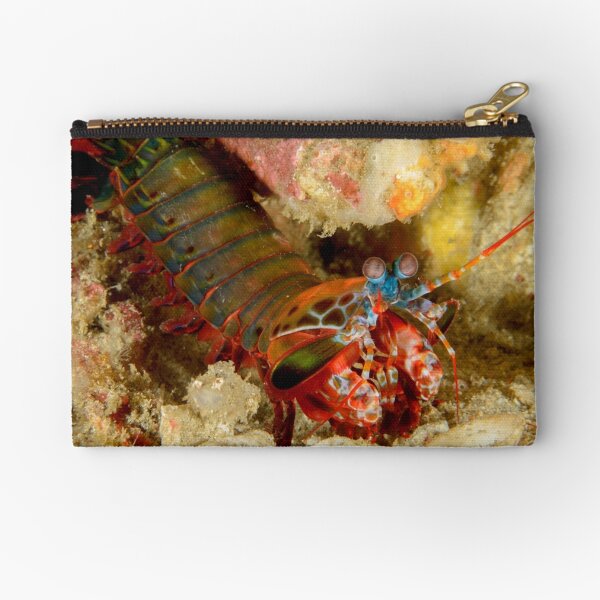 Peacock Mantis Shrimp - Odontodactylus scyllarus Zipper Pouch