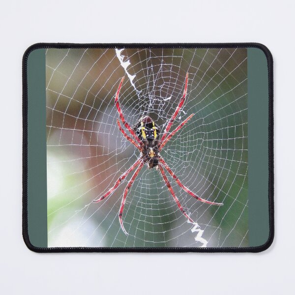 Item preview, Large Garden Orbweaver Spider designed and sold by Linda Walsh.