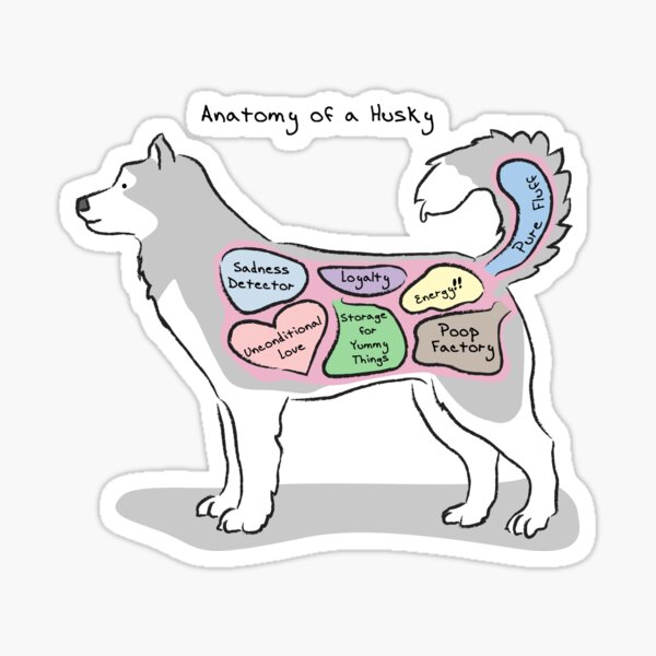 Anatomy of a Husky Sticker