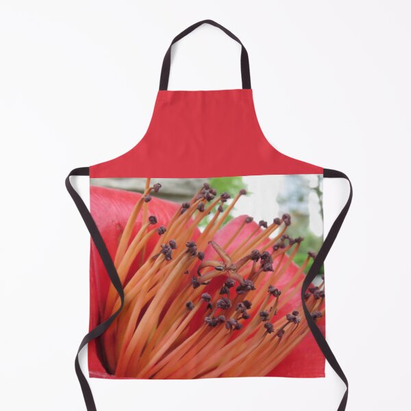 Item preview, Kapok Flower Close-up with Ant designed and sold by Linda Walsh.