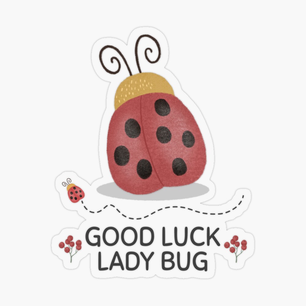 Lucky Ladybug Stickers [Book]