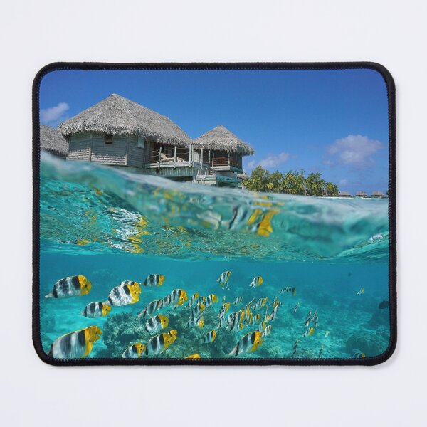 Item preview, over underwater tropical bungalow school of fish designed and sold by Seaphotoart.