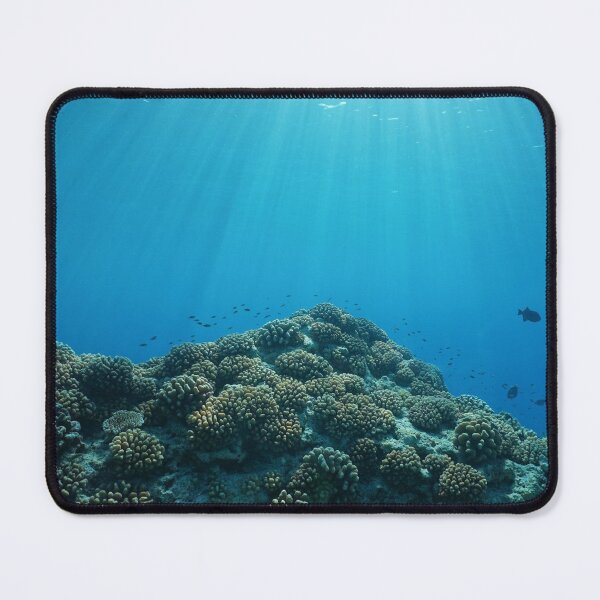 Item preview, ocean sunlight underwater coral fish designed and sold by Seaphotoart.