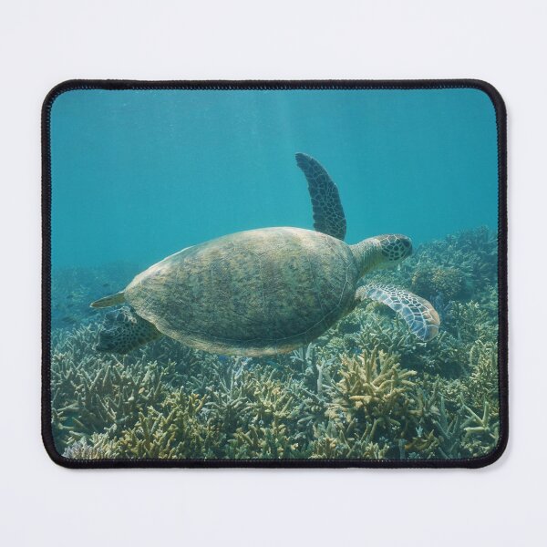 Item preview, Underwater green sea turtle designed and sold by Seaphotoart.