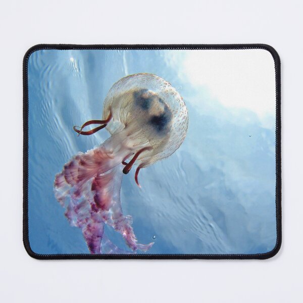 Item preview, Mediterranean jellyfish with water surface in background designed and sold by Seaphotoart.