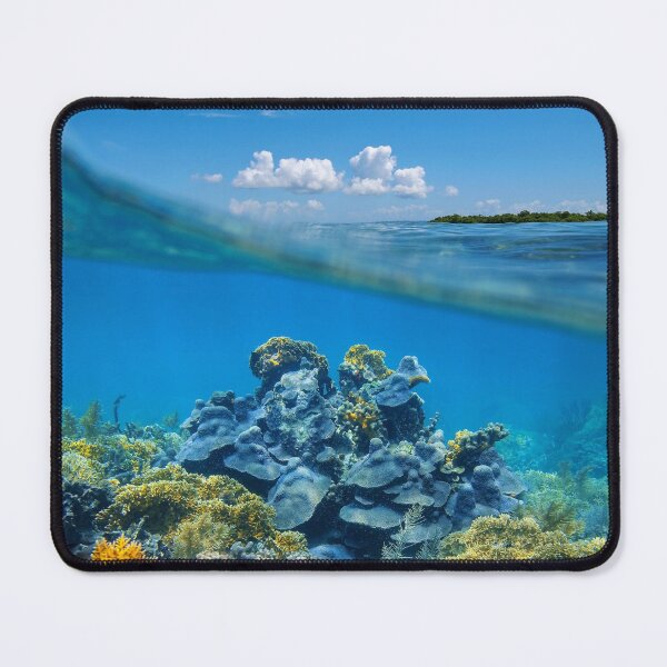Item preview, Over-under split view coral reef underwater designed and sold by Seaphotoart.