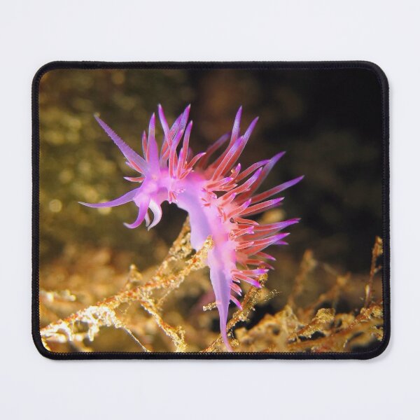 Item preview, Mediterranean sea slug Flabellina affinis designed and sold by Seaphotoart.