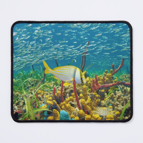 Item preview, Colorful sea life underwater with shoal of fish designed and sold by Seaphotoart.