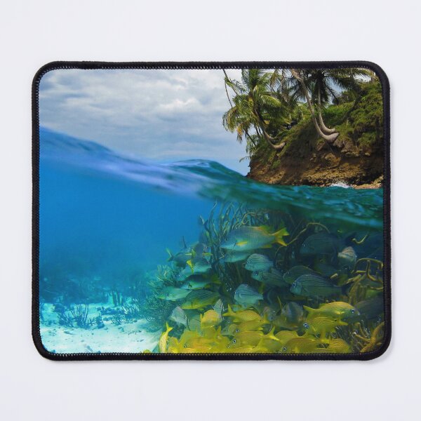 Item preview, Shoal of fish and tropical shore with coconut trees designed and sold by Seaphotoart.