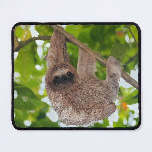Item preview, Brown throated sloth in the jungle designed and sold by Seaphotoart.