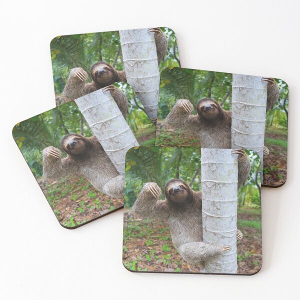 Item preview, Brown-throated sloth climbing on a tree designed and sold by Seaphotoart.