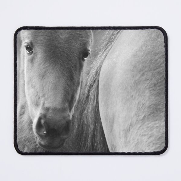 Item preview, Original wild horses photo, nature landscape, animal lovers, love, black & white photography, horse love designed and sold by Spallutos.