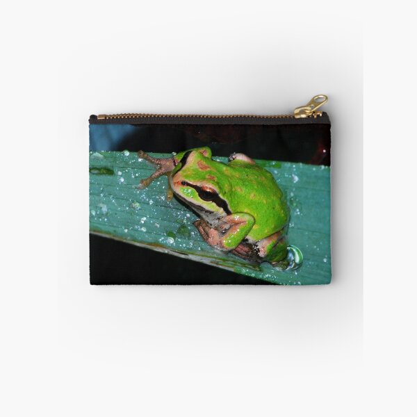 Item preview, Frog in my Garden designed and sold by Tori Snow.