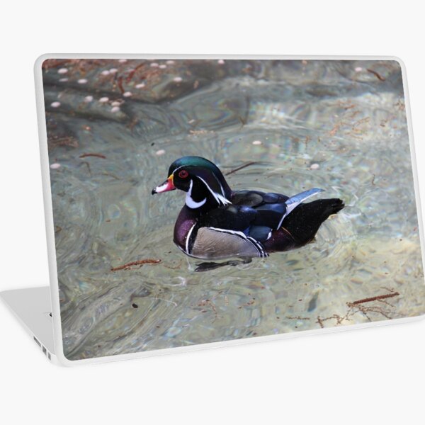 Mandarin Duck Laptop Skin