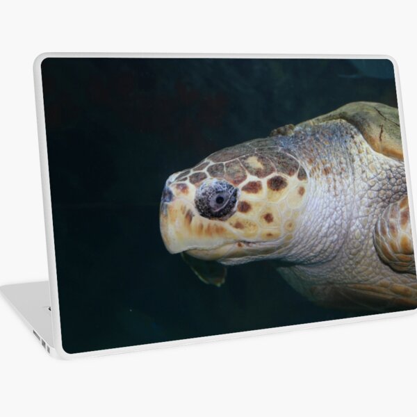 Turtle Laptop Skin
