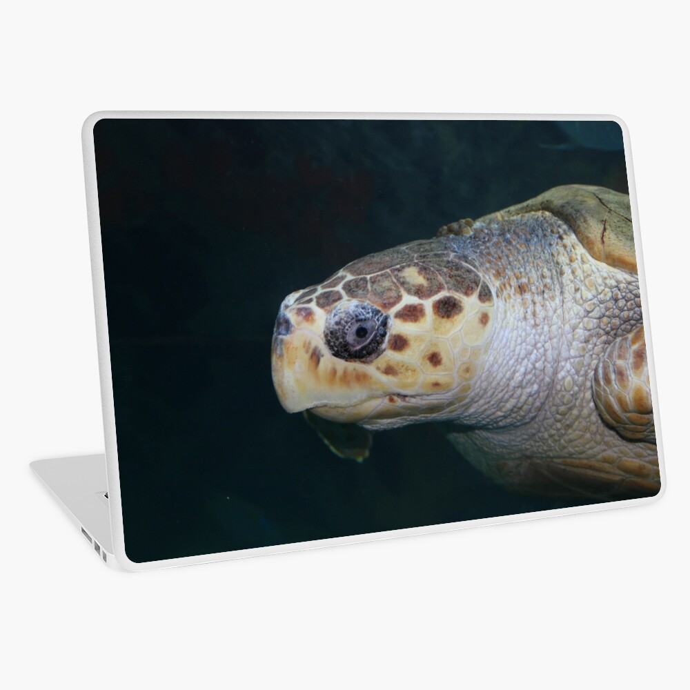 Turtle Laptop Skin
