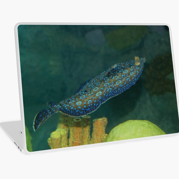 Flounder Laptop Skin