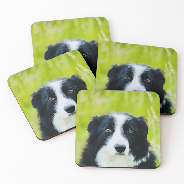 Item preview, Teddy designed and sold by thegreendogs.