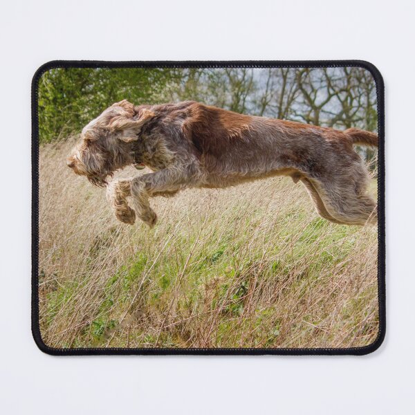 Item preview, Jumping Spinone by heidiannemorris designed and sold by FOLK ART FUSION.