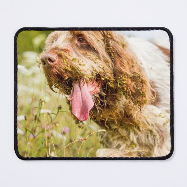 Item preview, Covered in Cleavers Spinone designed and sold by FOLK ART FUSION by heidiannemorris.