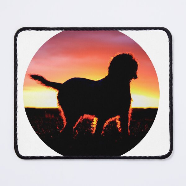 Item preview, Spinone Sunset Silhouette designed and sold by FOLK ART FUSION.