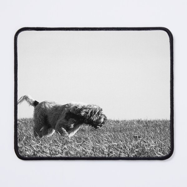 Item preview, Spinone on the scent of a thousands stories designed and sold by FOLK ART FUSION by heidiannemorris.