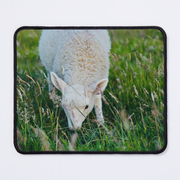 Item preview, Esther the Pet Lamb designed and sold by thegreendogs.