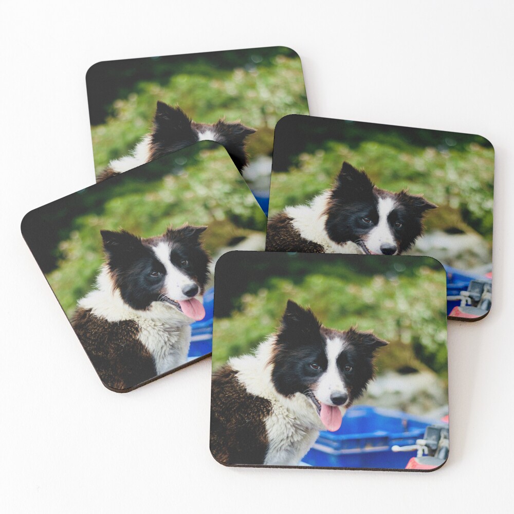 Item preview, Coasters (Set of 4) designed and sold by thegreendogs.