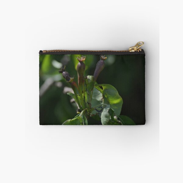 Item preview, Proto-Pears designed and sold by WatscapePhoto.