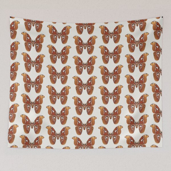 Item preview, Atlas Moth - Single designed and sold by GothicApothic.