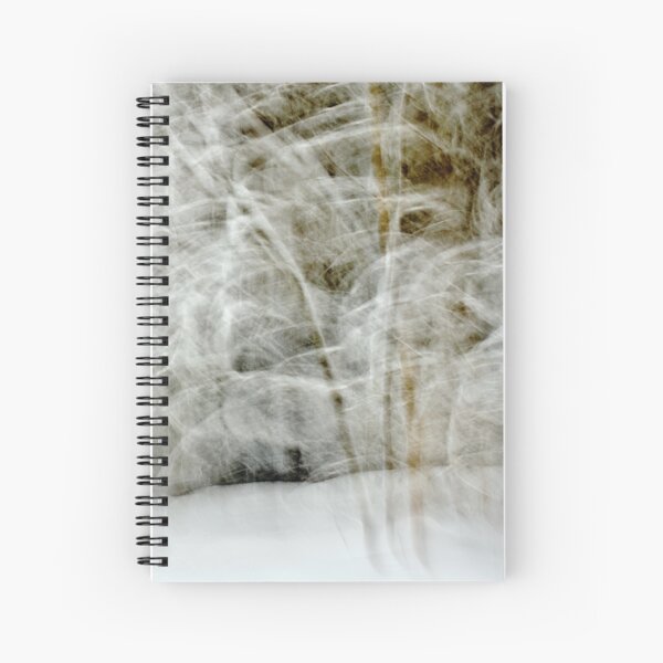 Spiral Notebook