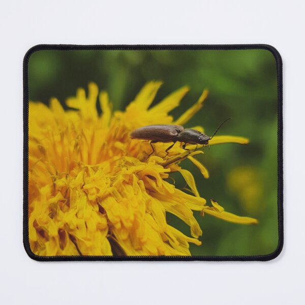 Item preview, Bug life designed and sold by masked-ivan.