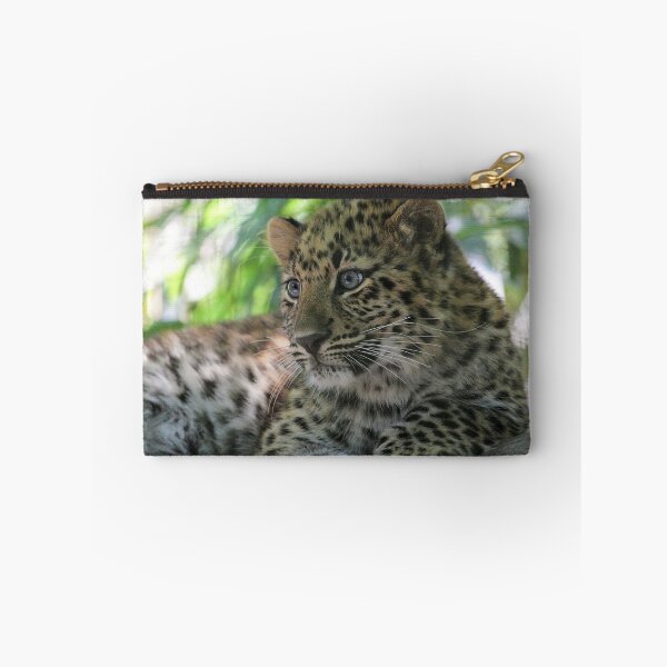 Item preview, Amur Leopard Cub designed and sold by Carol Bailey-White.