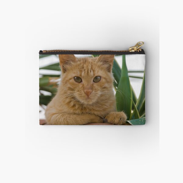 Item preview, Fluffy 2 of Aqaba designed and sold by Valerija S.  Vlasov.