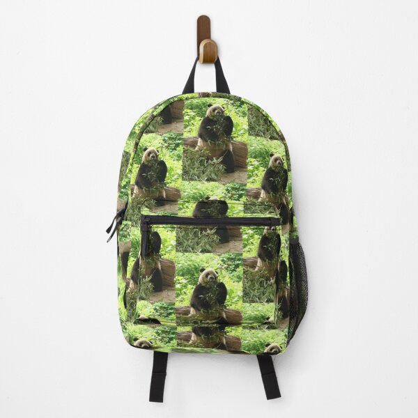 Item preview, Asia, China, Beijing, Zoo, Animal, Panda, Standing, Eating, Photography, BebiCervin designed and sold by BebiCervin.