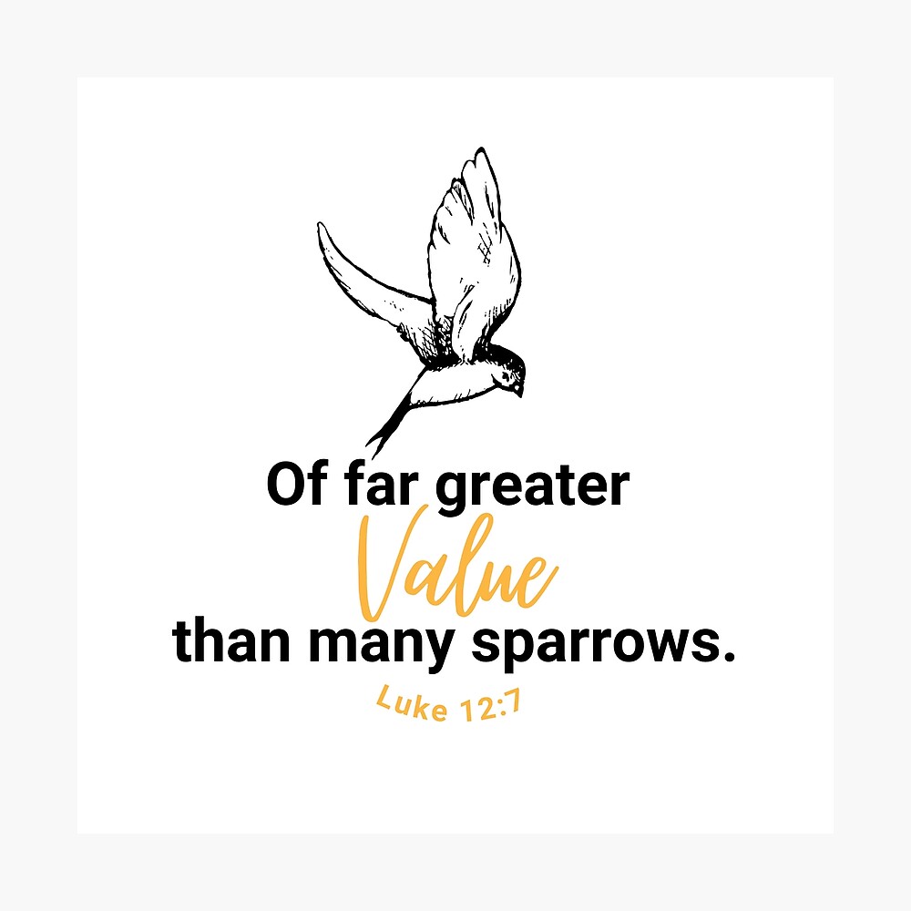 More Valuable Than Many Sparrows Luke 12 7 Poster For Sale By Gemlifedesigns Redbubble