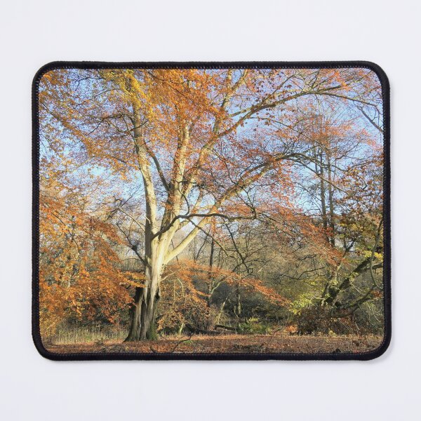 Item preview, Autumn Trees designed and sold by HappySnapping.