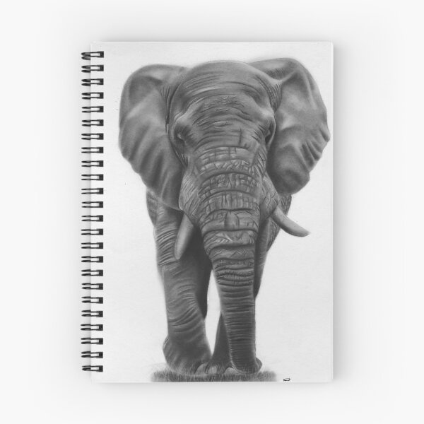 Item preview, Triumph Elephant  designed and sold by dannypencil123.
