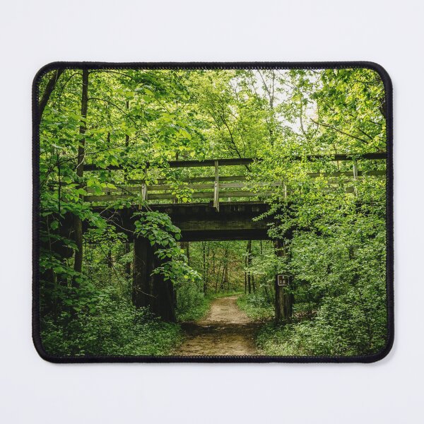Item preview, A Bridge into the Forest of Afton designed and sold by mattgeophoto.