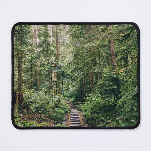 Item preview, Stairway to the Pacific Northwest Forest in Washington State designed and sold by mattgeophoto.