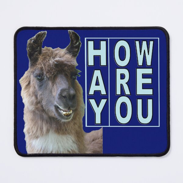 Item preview, Hay How Are You Llama Light Blue Letters designed and sold by AliCatOriginals.