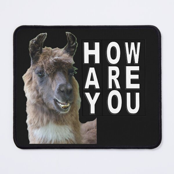 Item preview, Hay How Are You Llama designed and sold by AliCatOriginals.