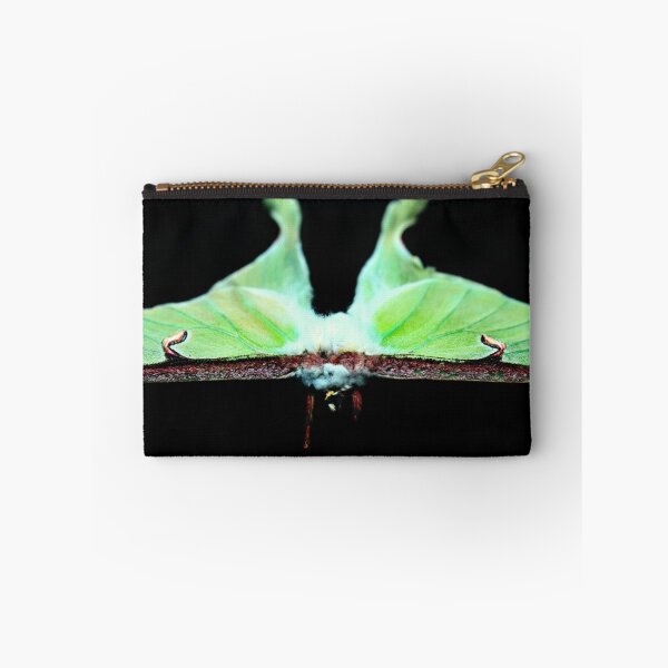 Item preview, Luna Moth designed and sold by Briana McNair.